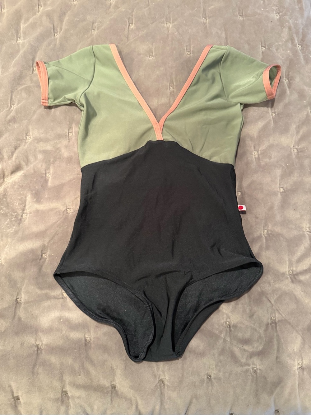 Yumiko Alicia Short Sleeve Leotard